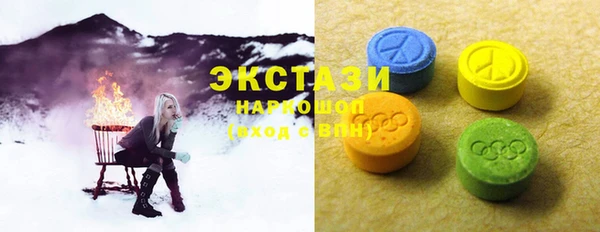 ECSTASY Богданович